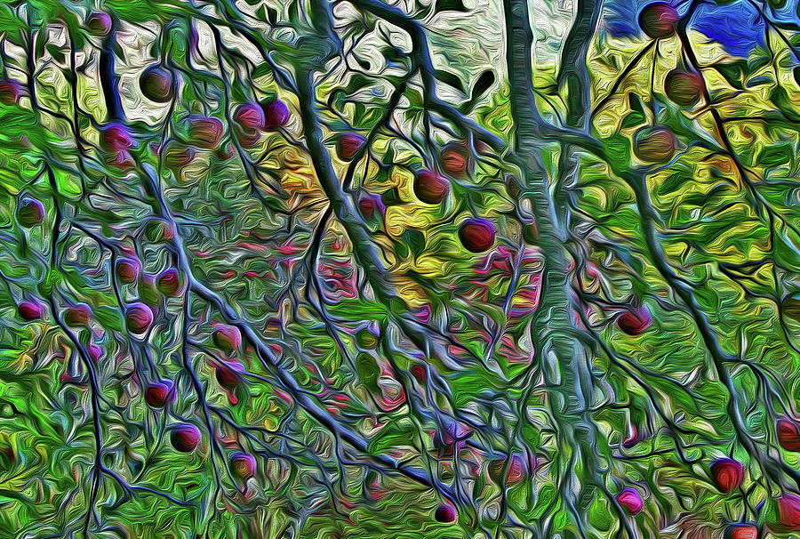 Apples at Altapass by SL Ernst Apples at Altapass by SL Ernst