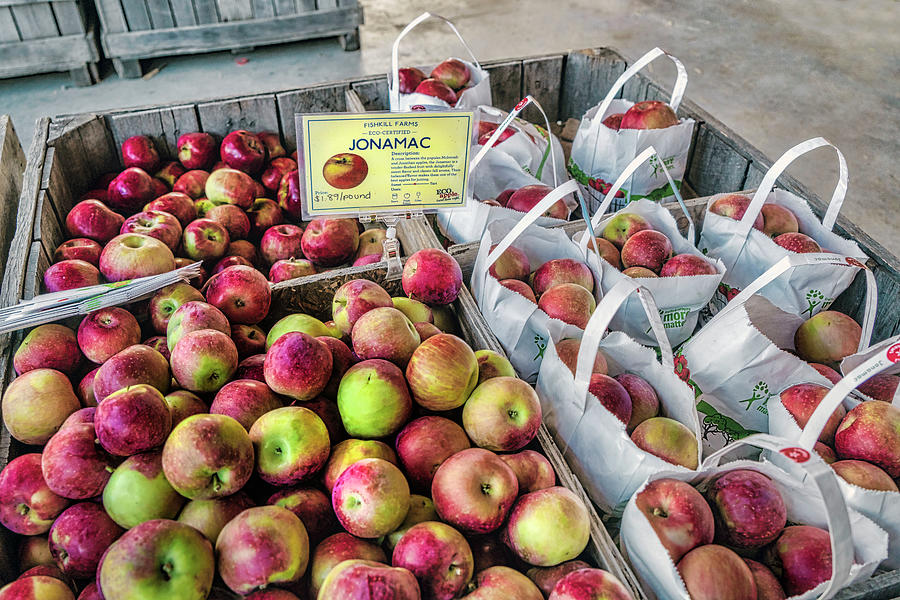 Apples, Fishkill Farms, New York Digital Art by Laura Zeid