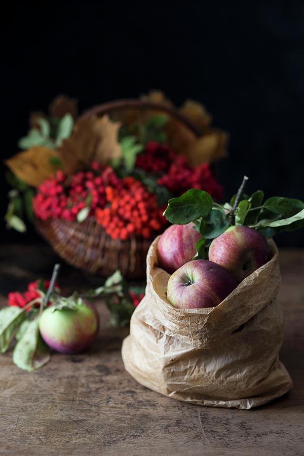 Apples In A Paper Bag In Front Of A Basket Of Rowan Berries Photograph by Malgorzata Laniak