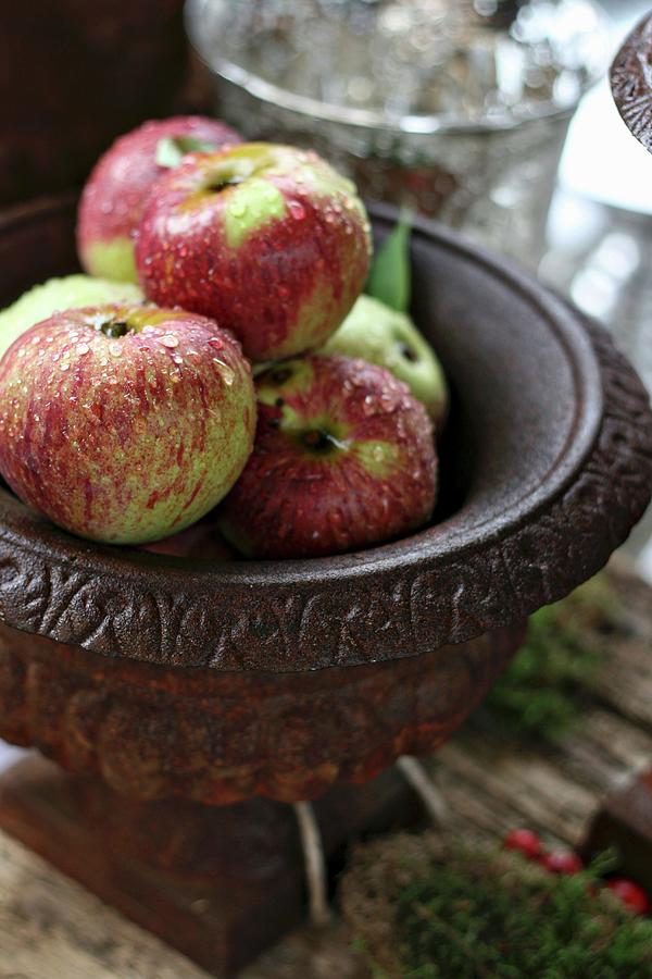 Apples In Iron Dish Photograph by Alexandra Panella