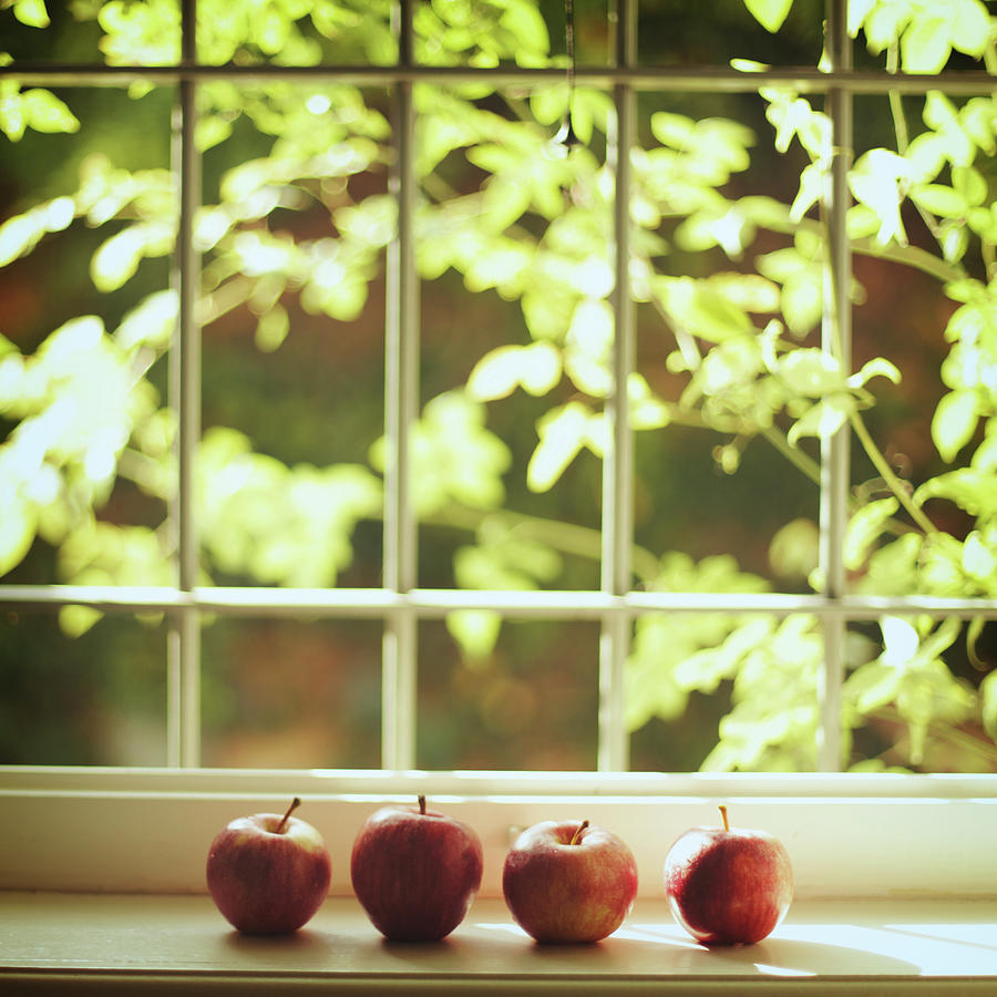 Apples In Line Photograph by Les Hirondelles Photography