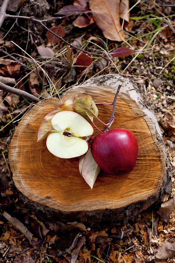 Apples On A Slice Of Tree Trunk Photograph by Nicolas Lemonnier