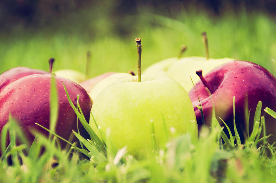 Apples On Grass Photograph by Sally Anscombe