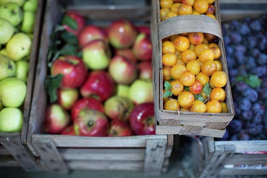 Apples, Quinces, Plums And Other Fruit At The Exchange Club foodxchange In Markthalle Ix, Berlin, Germany Photograph by Jalag / Joerg Lehmann