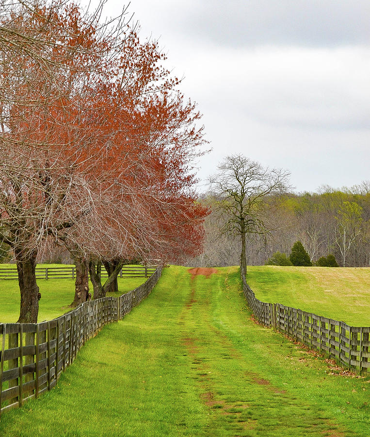 Appomattox Courthouse Photograph by Sara Peterson - Fine Art America