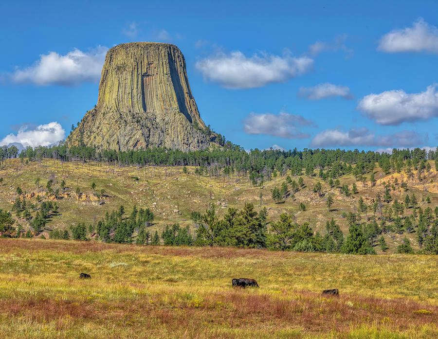 Tree Photograph - Approaching Devils Tower by Lorraine Baum