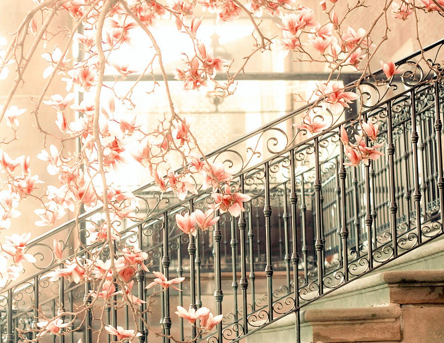 Apricot Flowers With Railings Photograph by A Matter Of How You See It Photography By Kala