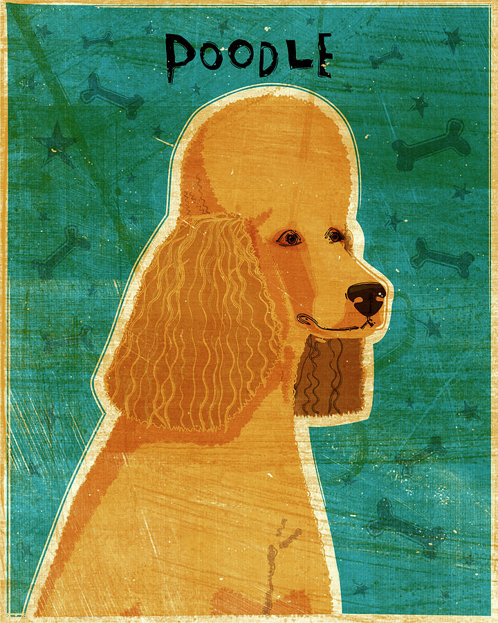 Animal Digital Art - Apricot Poodle by John W. Golden