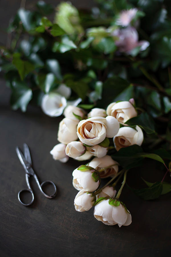 Apricot Silk Flowers And Old Pair Of Scissors Photograph by Alicja Koll