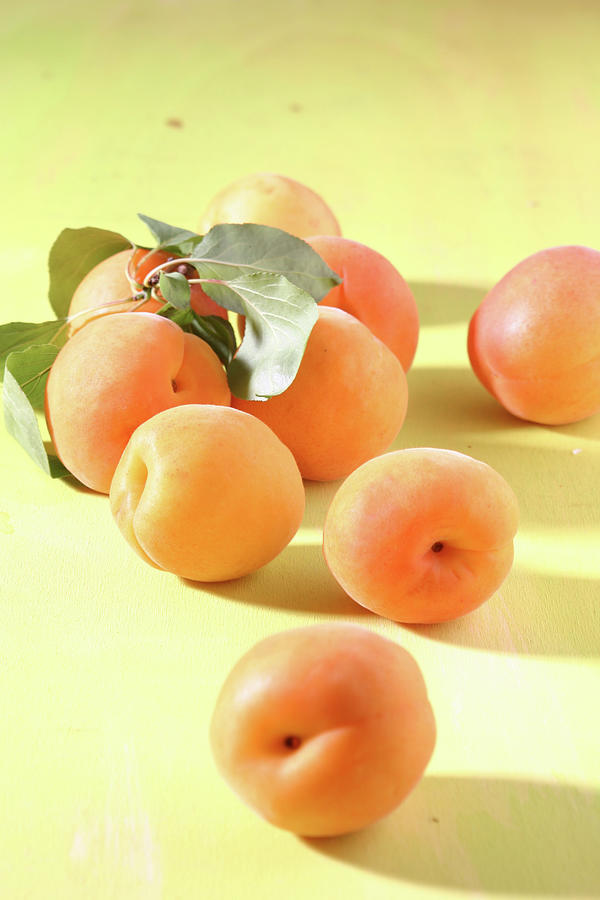 Apricots Photograph by Francine Reculez