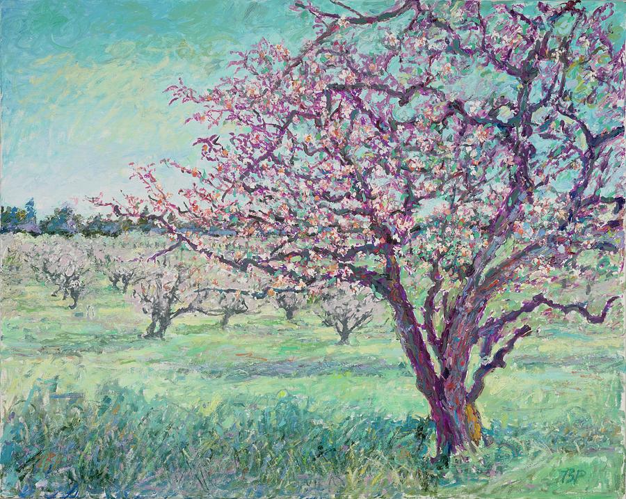 April Apple Orchard Painting by Tom Pittard