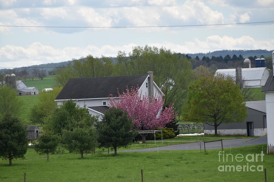 April Evenings in the Amish Country Photograph by Christine Clark