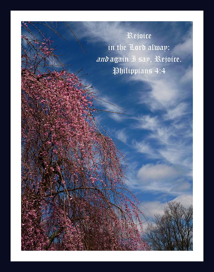 April Sky Deep Hues Deluxe Border with Philippians Scripture Photograph by Mike McBrayer
