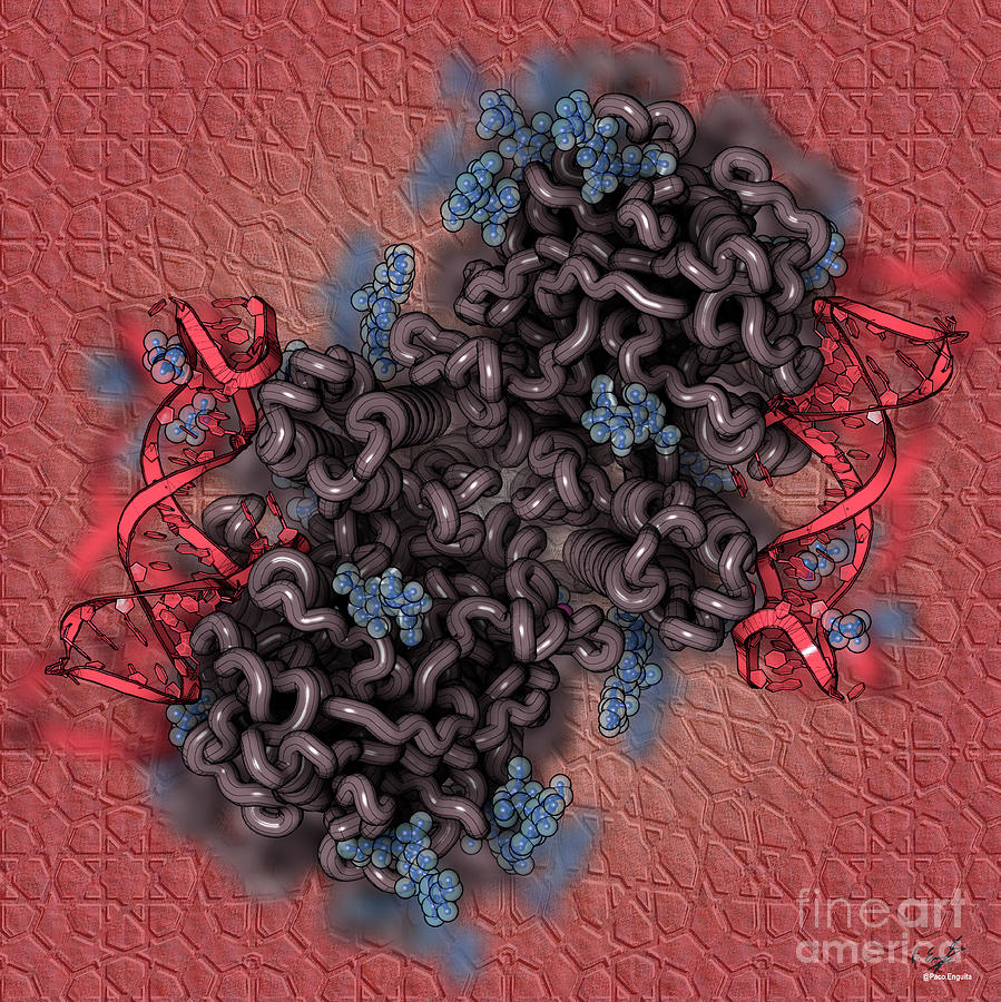 Artificial Photograph - Aptamer Bound To Prostate-specific Membrane Antigen by Francisco J. Enguita/science Photo Library