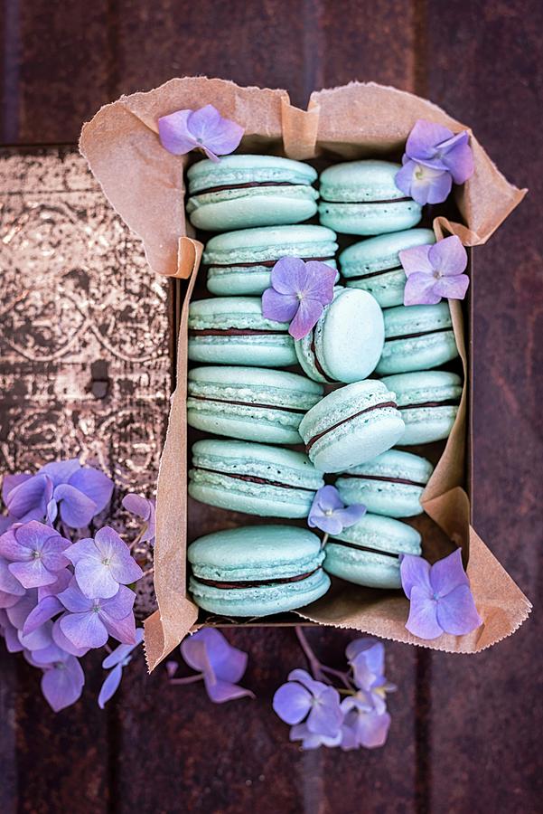 Aquafaba Vegan Macaroons With An Avocado And Chocolate Filling In A Vintage Biscuit Tin With Purple Flowers Photograph by Lucy Parissi