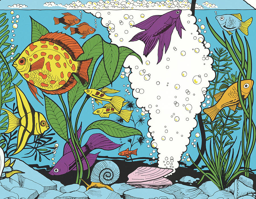 Tropical sea and aquarium fishes collection on... - Stock Illustration  [74601248] - PIXTA