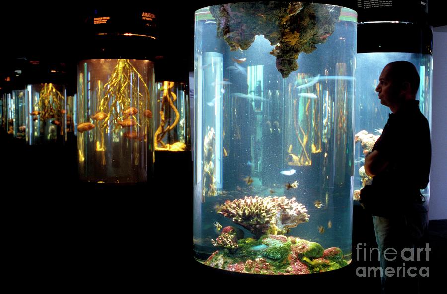 Aquarium Hall Of Cylinders Photograph by Chris Sattlberger/science Photo Library