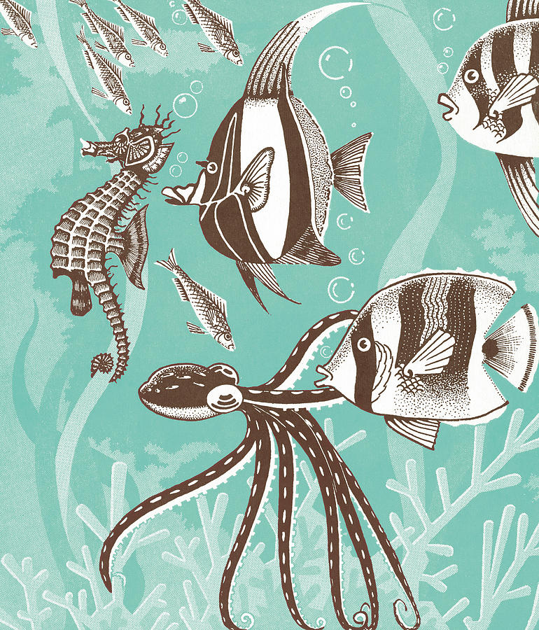 Fish Drawing - Aquarium Scene by CSA Images
