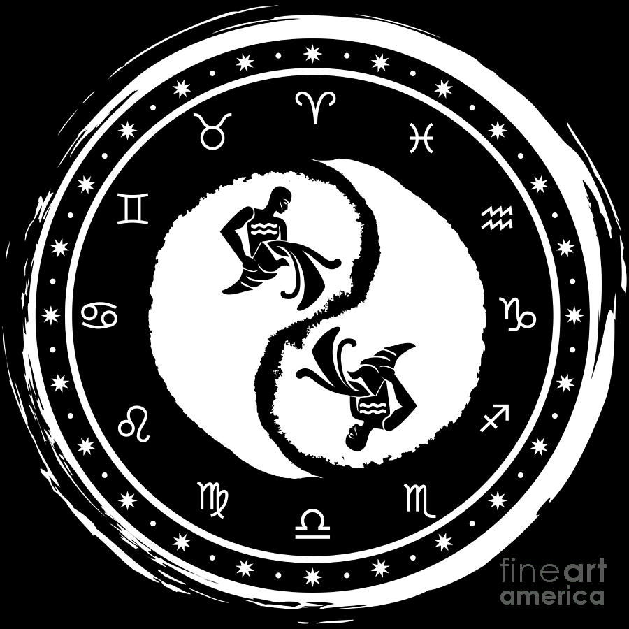 Aquarius Yin Yang Eleventh Zodiac Sign Studiometzger 