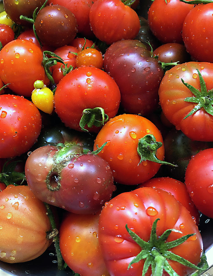 Aqui Estan Mis Tomates Para Ti Photograph by Joe Schofield