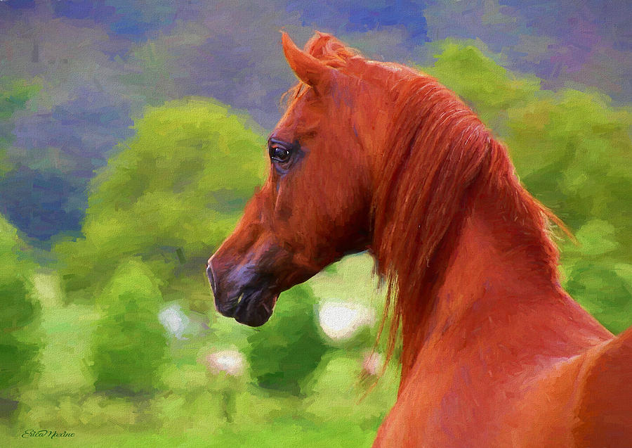 Arabian Beauty - Painting by Ericamaxine Price Arabian Beauty - Painting by Ericamaxine Price