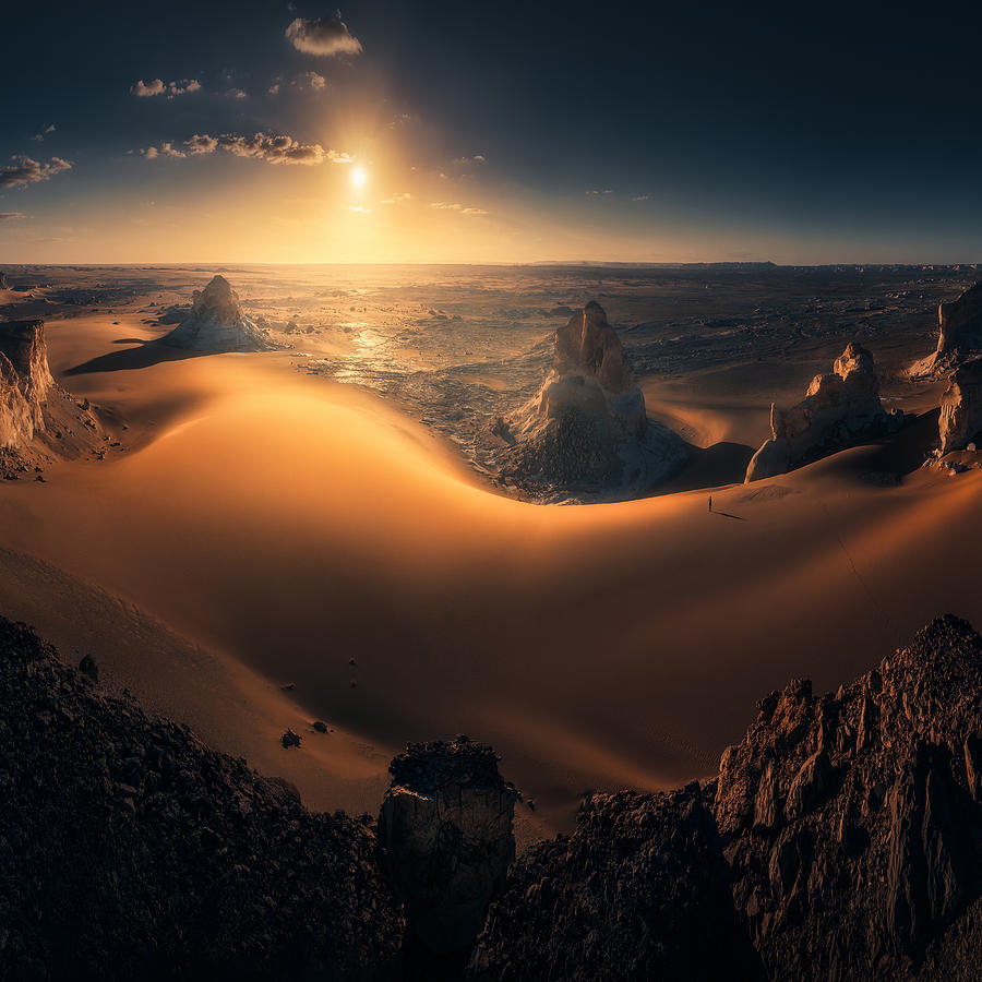 Arabian Dream Photograph by David George