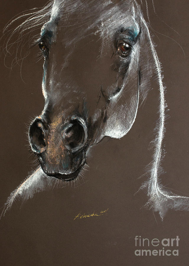 Arabian horse head 2019 04 02 Pastel by Ang El