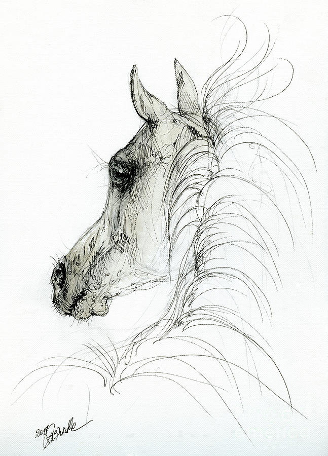 Arabian horse head 2019 09 01 by Angel Ciesniarska Arabian horse head 2019 09 01 by Angel Ciesniarska