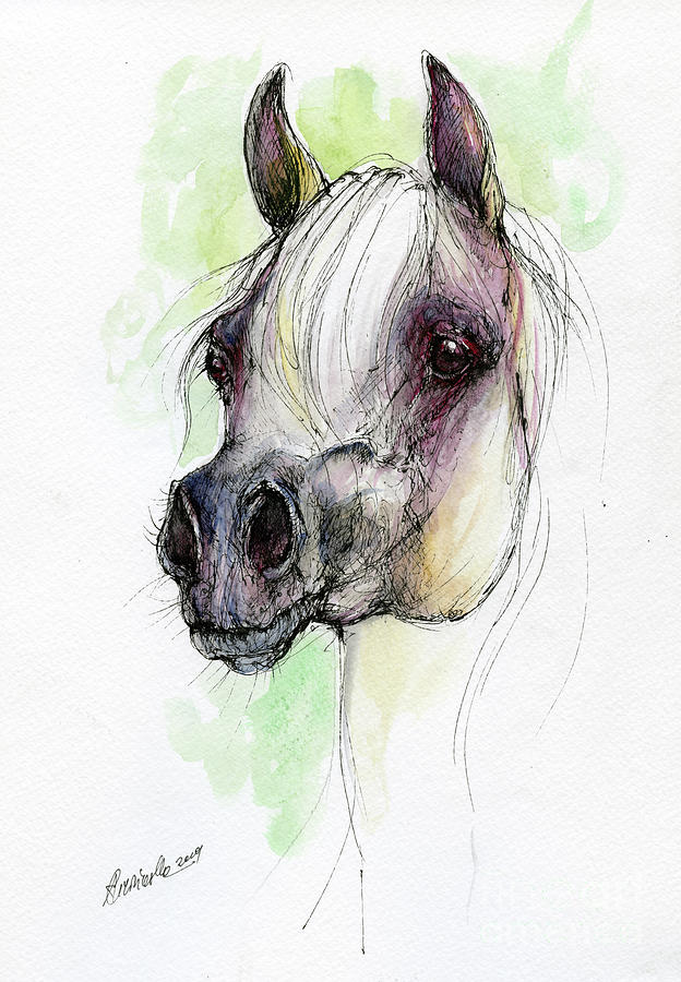 Arabian horse head 2019 09 02 by Angel Ciesniarska Arabian horse head 2019 09 02 by Angel Ciesniarska