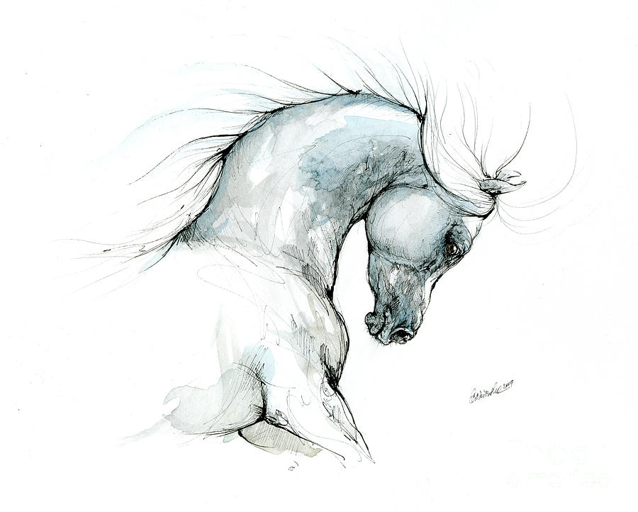 Arabian horse head 2019 09 03 Drawing by Ang El