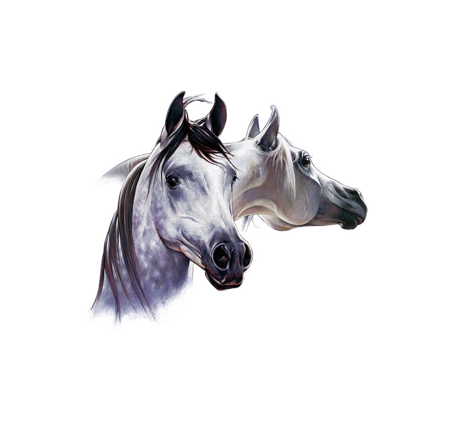 Horse Drawing - Arabian Horse Pair by Salmoneggs