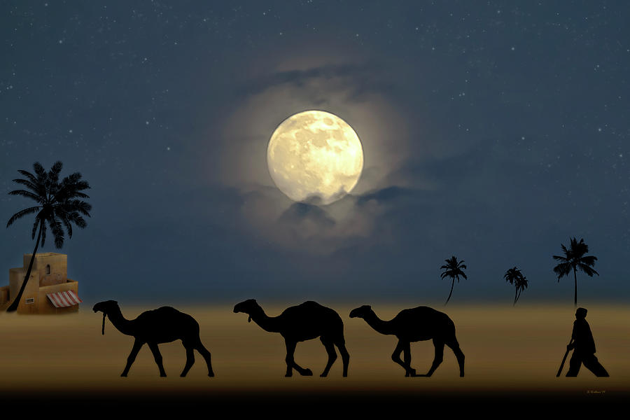 Arabian Night by Brian Wallace