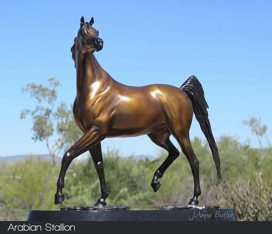Arabian Stallion Sculpture by J Anne Butler