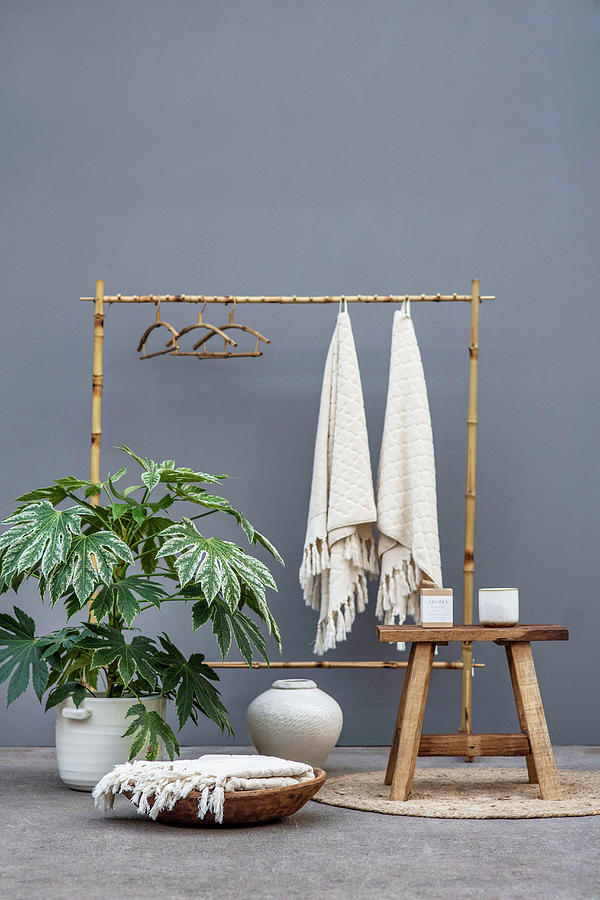 Aralia And Bamboo Coat Rack In Front Of Grey Wall Photograph by Magdalena Bjrnsdotter
