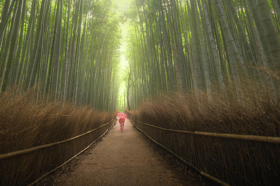 Arashiyama Bamboo Grove by Francis Ansing Arashiyama Bamboo Grove by Francis Ansing