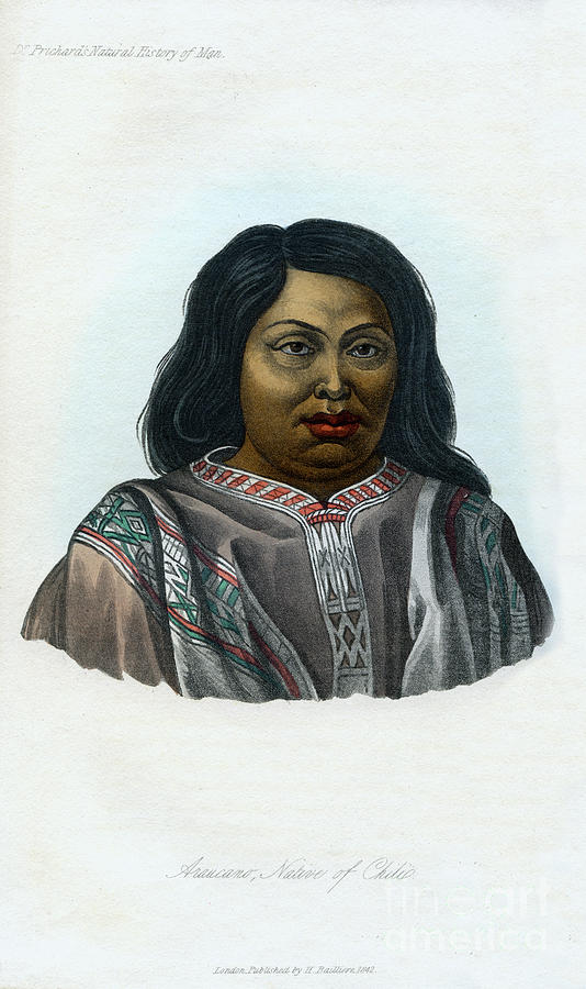 Araucano, Native Of Chili, 1848 Drawing by Print Collector
