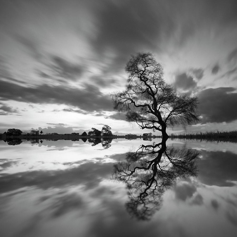 Arbol Solitario En Temoaya Color Reflect Bn Photograph by Moises Levy ...