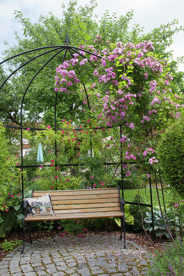 Arbor Planted With Pink, Small, Round Granite Paved Terrace, Bench Photograph by Karlheinz Steinberger