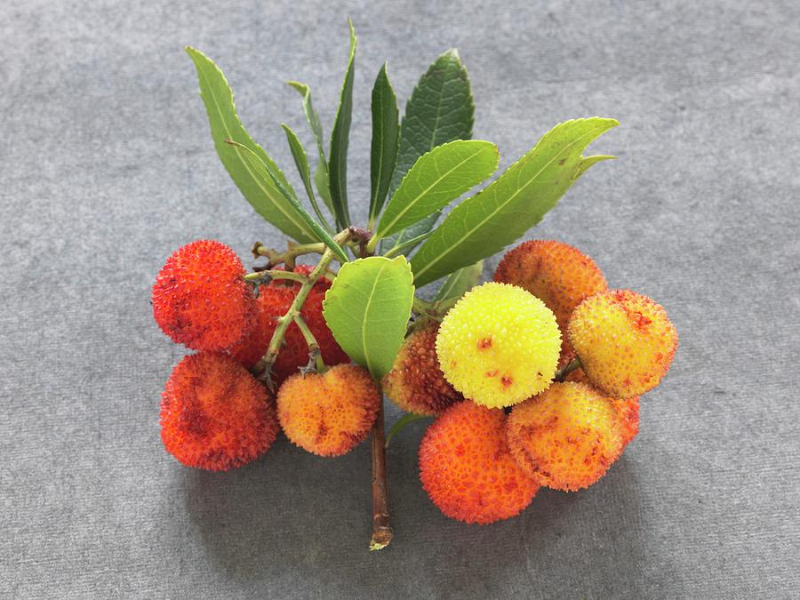 Arbutus-berries Photograph by Leser