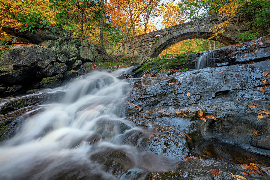 Arch Bridge At Vaughan Woods Photograph By Rick Berk - Fine Art America