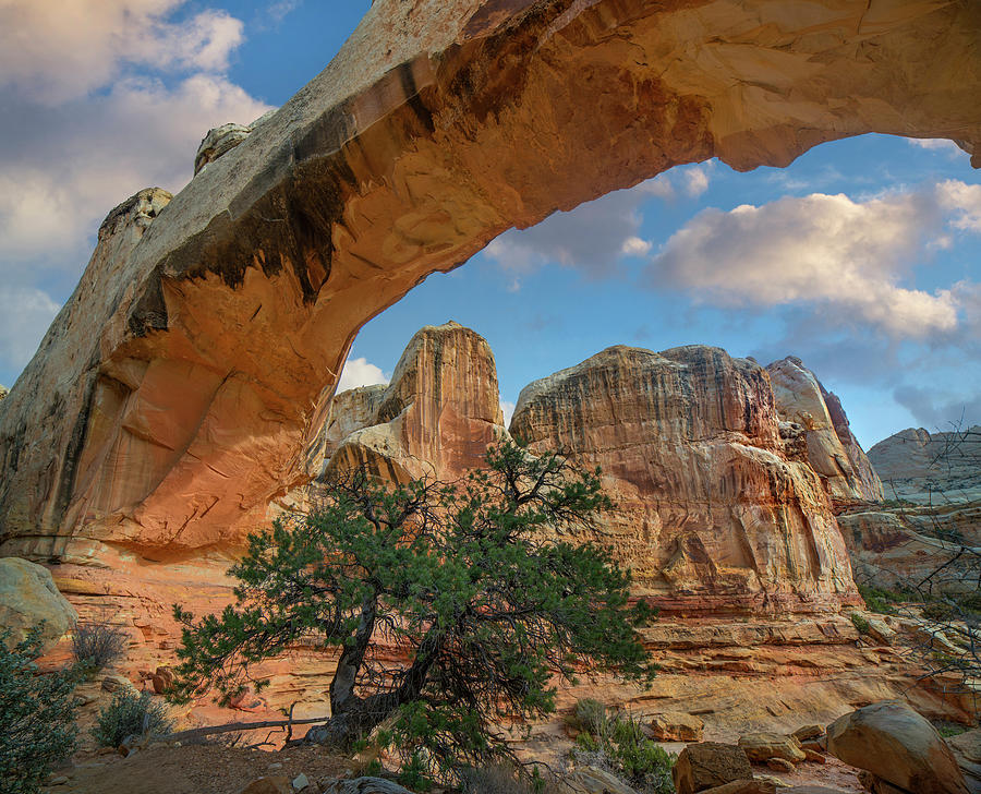 Arch, Hickman Bridge, Capitol Reef by Tim Fitzharris Arch, Hickman Bridge, Capitol Reef by Tim Fitzharris