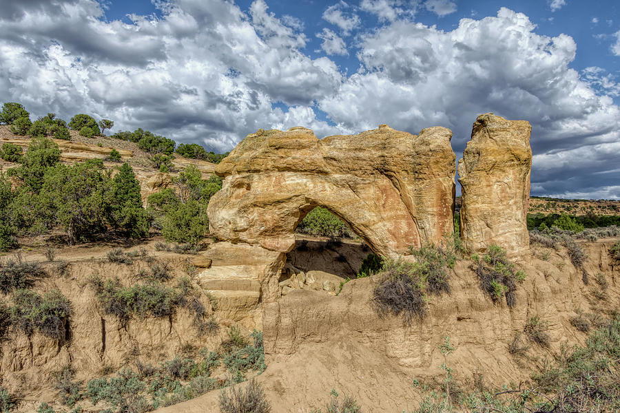 Arch Rock Hart Canyon New Mexico Photograph by Debra Martz
