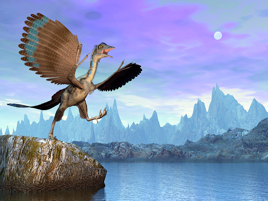 Archaeopteryx Prehistoric Bird Next Photograph by Elena Duvernay