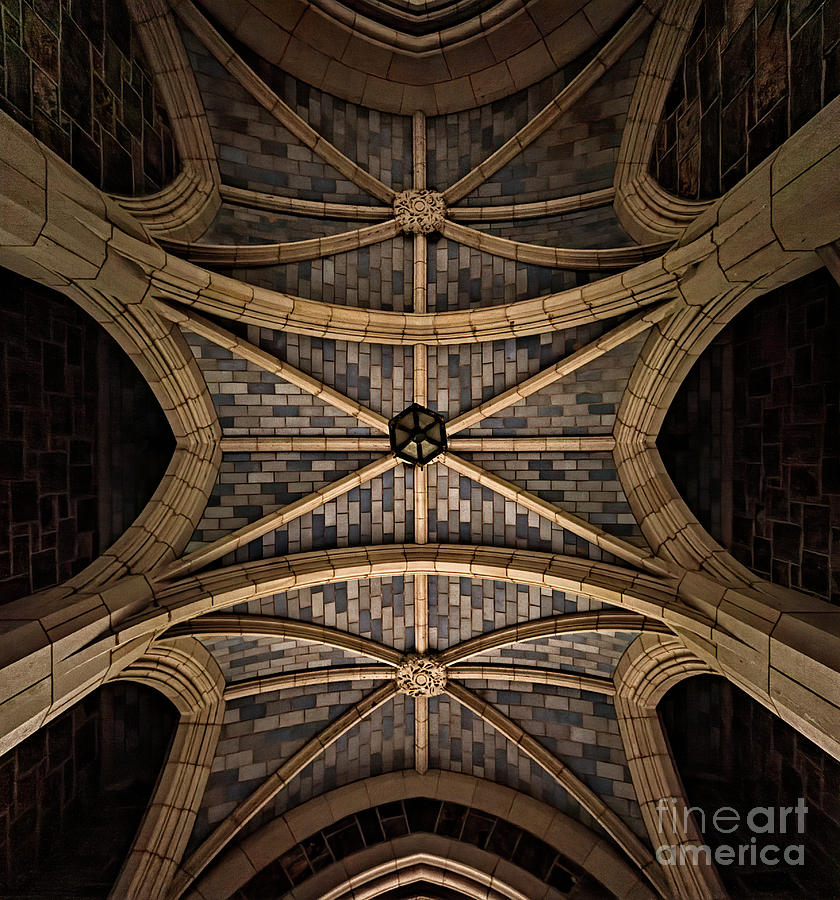 Arched Ceiling Detail Photograph by Doug Sturgess