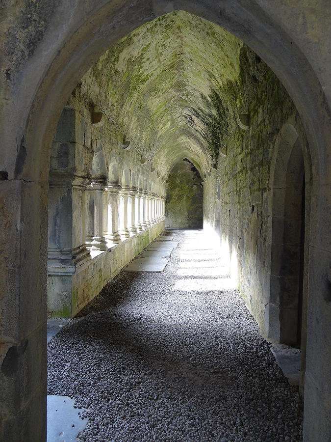 Arched Walkway Photograph by C Manahan - Pixels