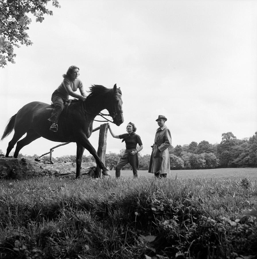 Archers Horse Photograph by Bert Hardy