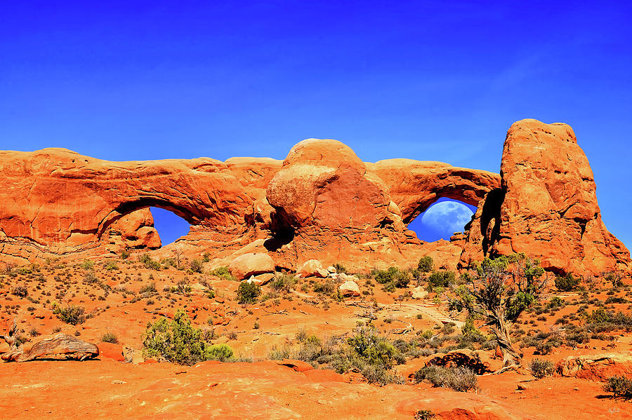 Arches Moon Eye Photograph by Greg Norrell