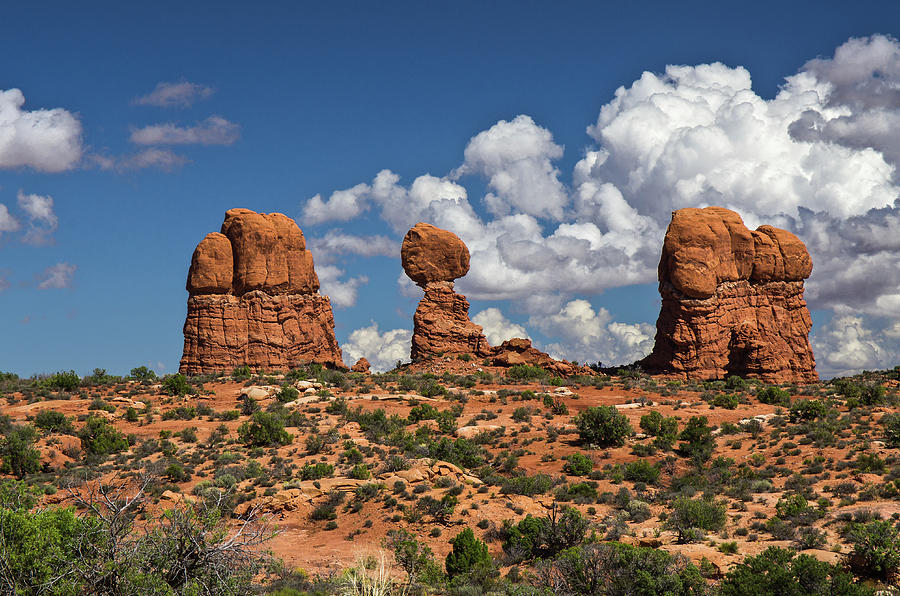 Arches National Park - 7975 Photograph by Jerry Owens