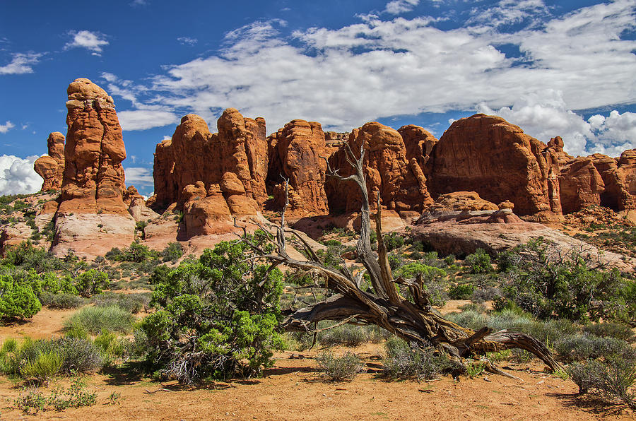 Arches National Park - 7994 Photograph by Jerry Owens