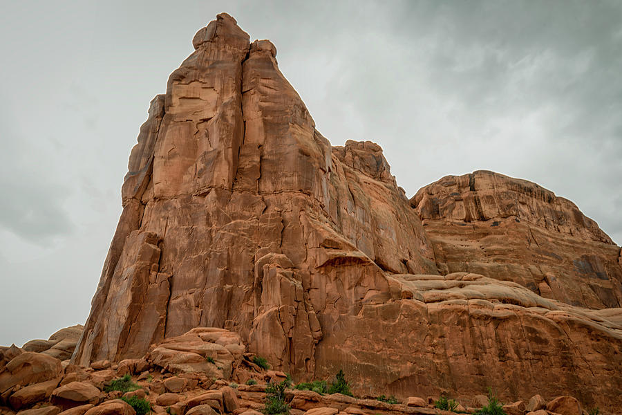 Arches National Park Photograph - Arches National Park by Carol Ward